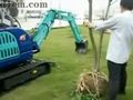 石川岛小挖15NX小区绿化植树作业（视频）