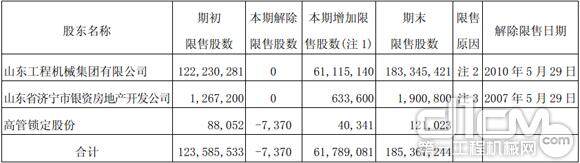 限售股份变动情况