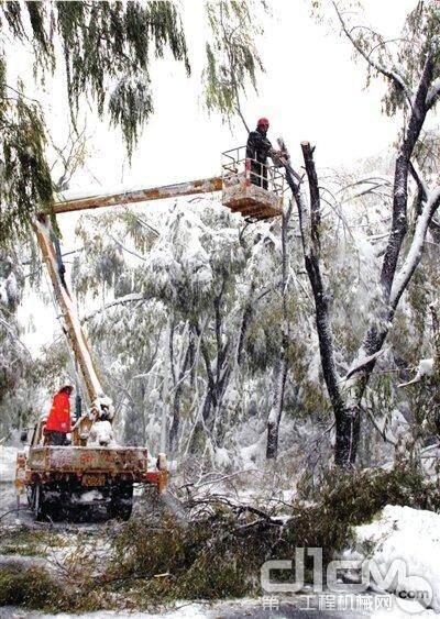 延庆抢险人员清理被雪压倒的树木