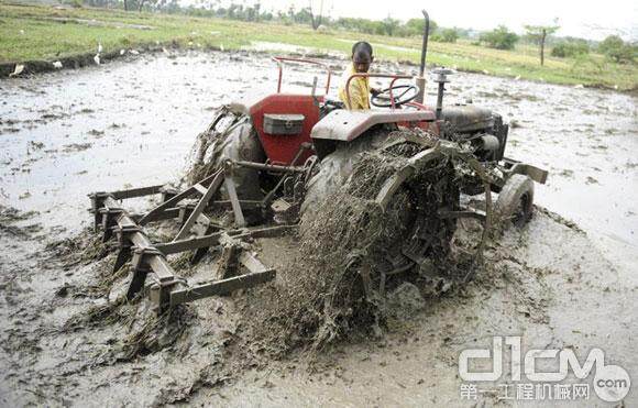 印度洪水吞没神像 工程机械救援迫在眉睫