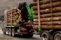 Gsodam采用Strenx®钢使木材拖车重量减轻了20%