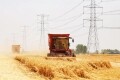 遇见丰收中国：雷沃谷神助力天中大地“麦”向丰收