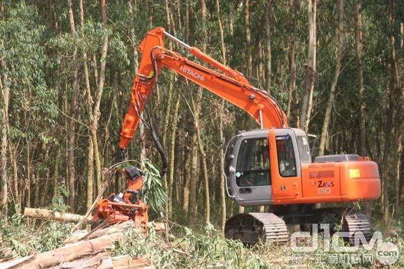 ZX130L(HAR)采伐机可进行树木伐倒、去枝、去皮、切断等操作