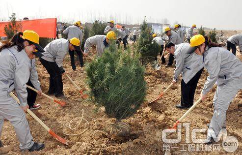 临工参与“献出一片绿 共建森林城”植树活动