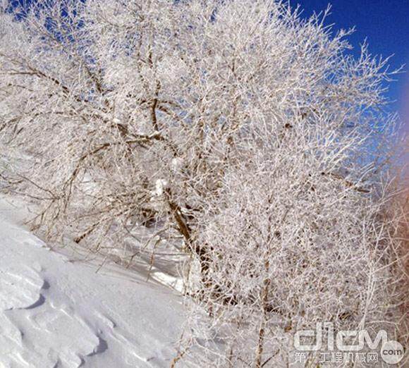 美不胜收的亚布力雪景