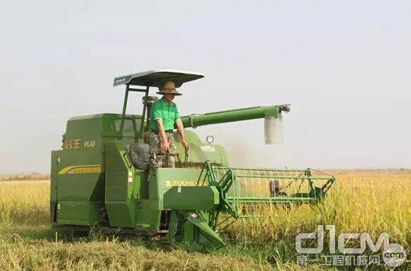 江西农机手驾驶谷王新型水稻机抢收水稻