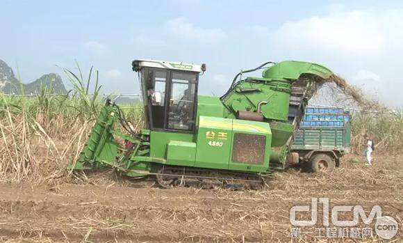 中联重科甘蔗收获机在广西进行作业