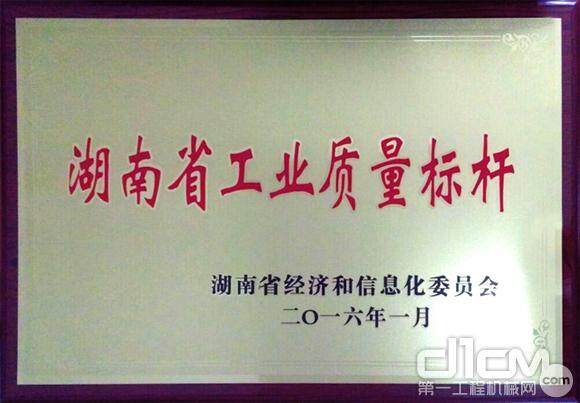恒天九五被认定为湖南省工业质量标杆