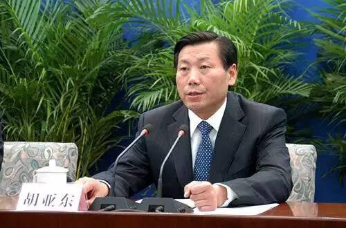 原铁道部副部长胡亚东在“两会”上发言