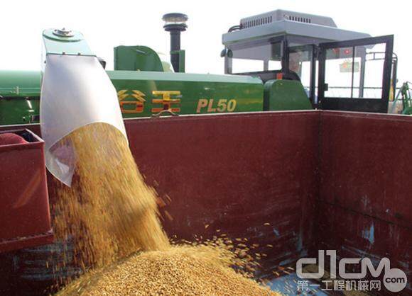 谷王新型PL50收割机助力湖北大麦收获季