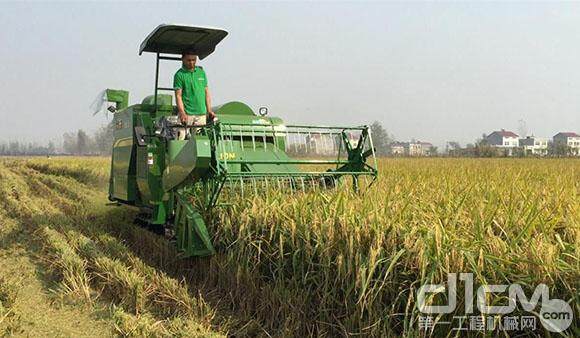 中联重科谷王水稻机在湖南进行收割作业