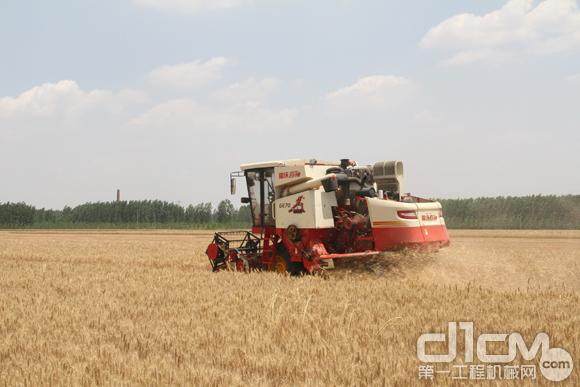 赵佃相的合作社今年新购买的雷沃谷神GE70正在进行麦收作业