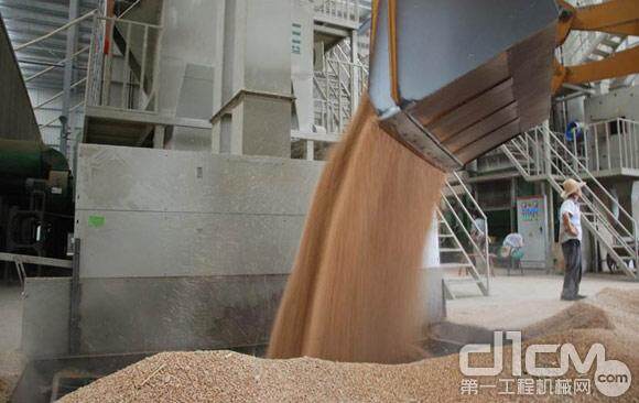铲车将小麦送进谷王烘干机内进行烘干处理
