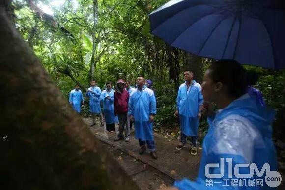 山东临工：好司机保护西双版纳热带雨林