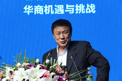 张燕生著名经济学家、国家发改委学术委员会秘书长