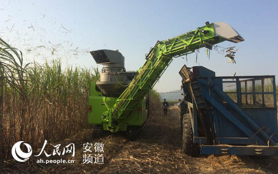 中联重科甘蔗机适用于广西复杂的作业环境