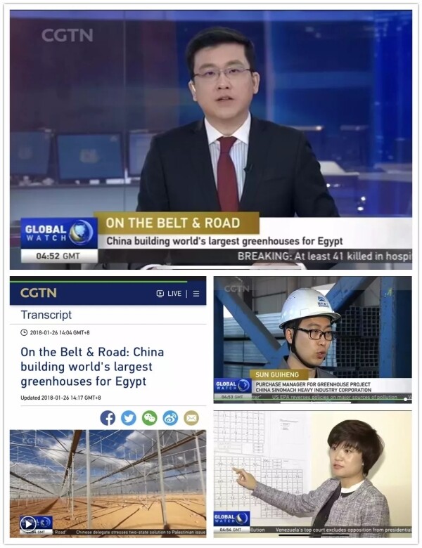 中国国际电视台专题报道埃及现代农业工程项目
