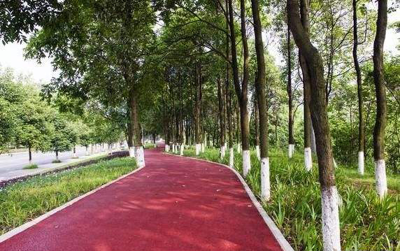 北京通州区今年将开工建设8条绿道 总长度112.1公里