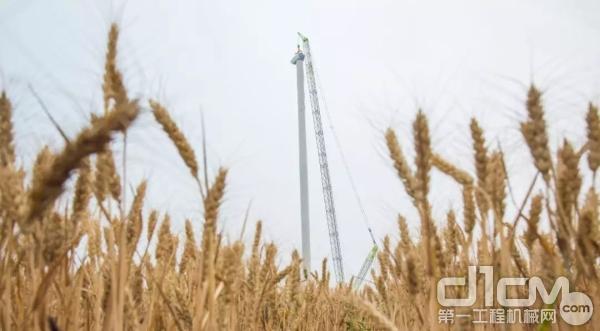 中联重科ZCC8800W：呵护绿色能源的麦田地“守望者”