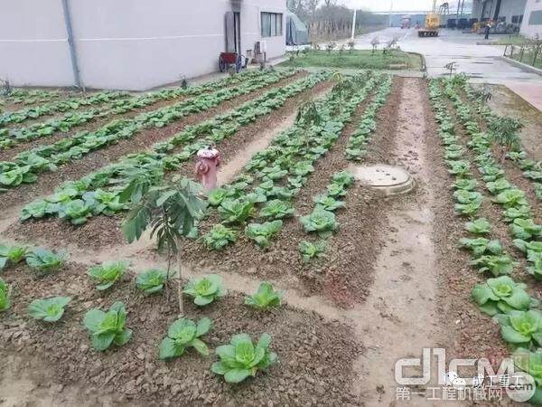 身处成都经开区的成工重工，尤为注重厂区小环境打造