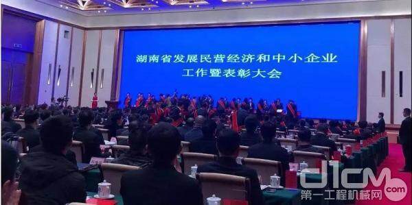 湖南省发展民营经济和中小企业工作暨表彰大会