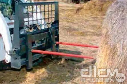 ����/��ҵץ��