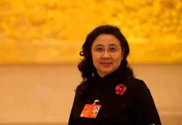 冯丹龙是中华全国总工会界别的政协委员，她是教授研究员级高级经济师，为九三学社第十四届中央委员会委员
