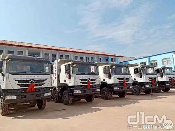 �����ؿ���������