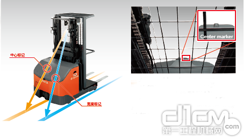 ���ڵ���Ұ