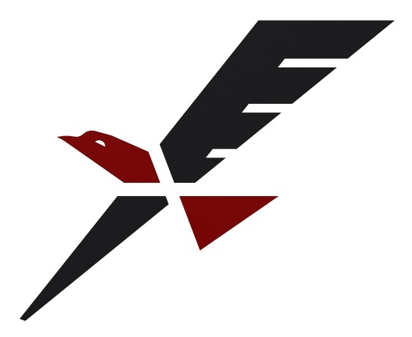 X鹰击系列logo