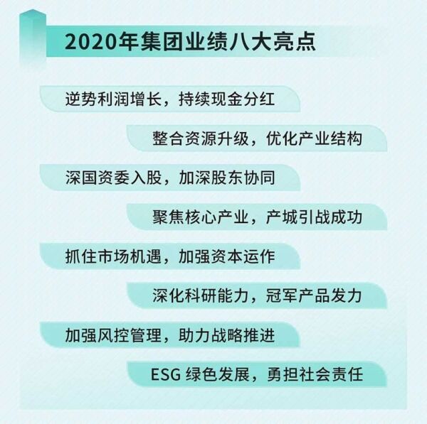 中集集团2020年业绩报告