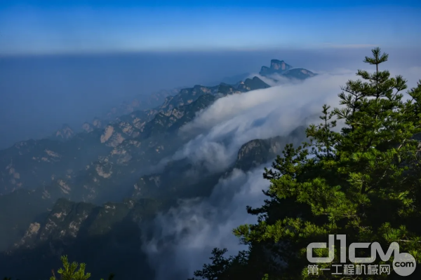 白云山高山牡丹园