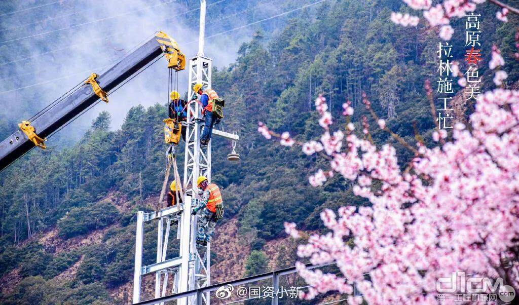 “徐工金”与漫山的桃花，洁白的雪峰，湛蓝的天空和萦绕的云雾共同绘制出一幅绝美的画卷！