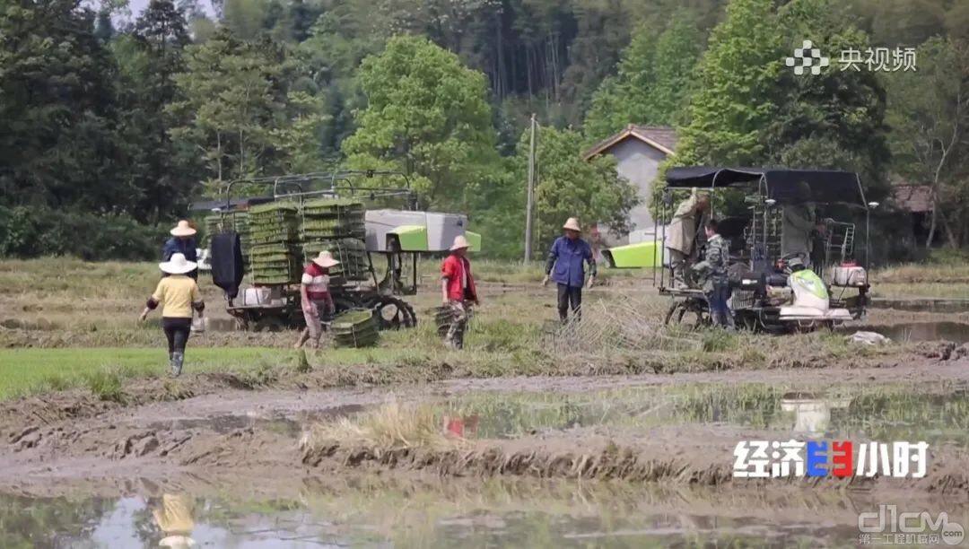 ▲中联重科水稻有序抛秧机正在作业（来源：央视频）