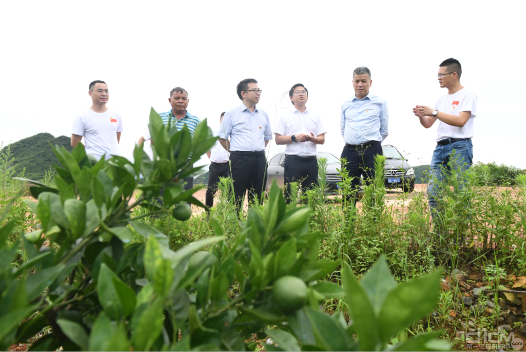 考察组在石碧塘村千亩桔园了解产业发展情况
