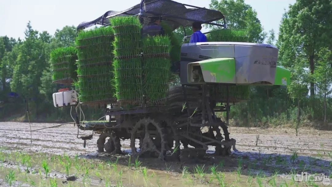 中联重科水稻有序抛秧机和育秧设备