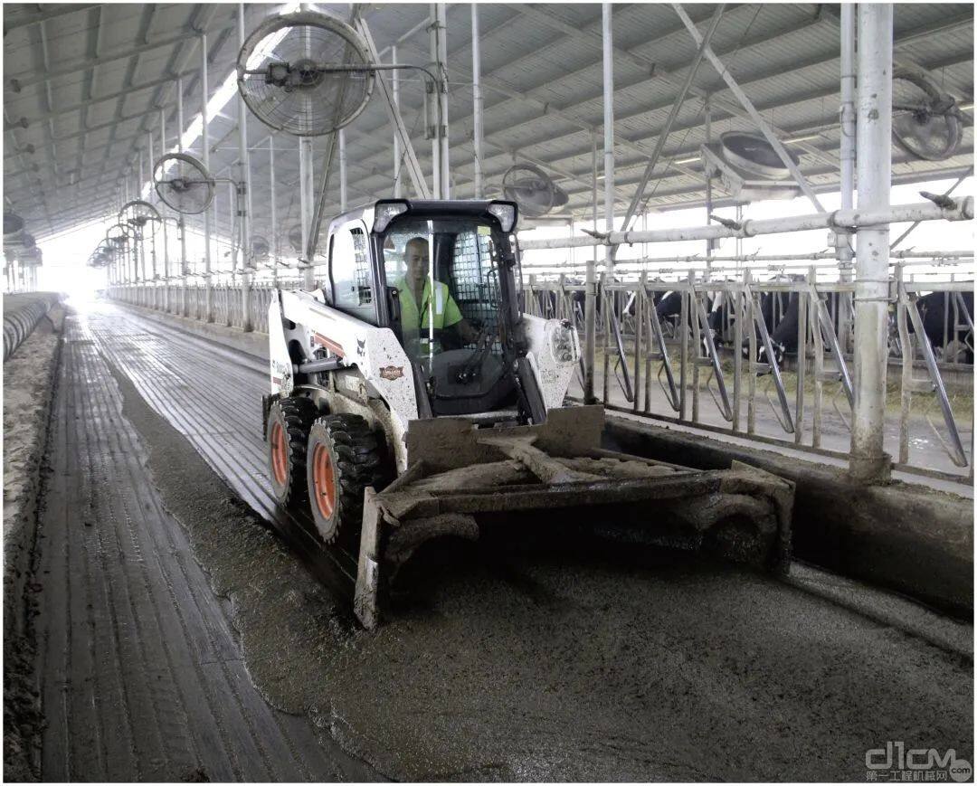 轮式滑移装载机在农场里除粪作业