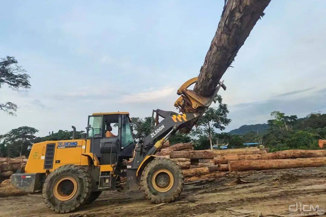 徐工夹木钳助力非洲支柱产业建设