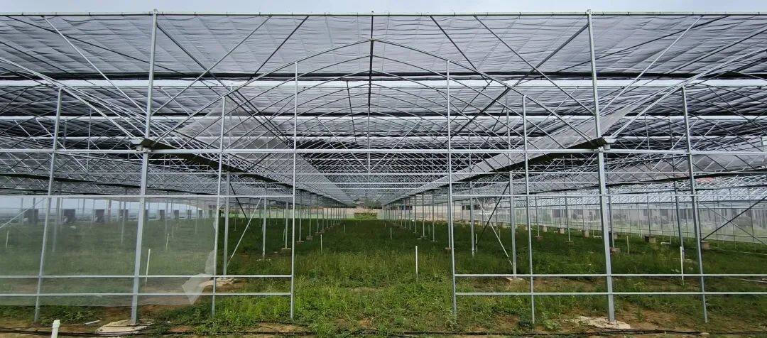 道童村生态农业示范基地：新建中的草莓大棚