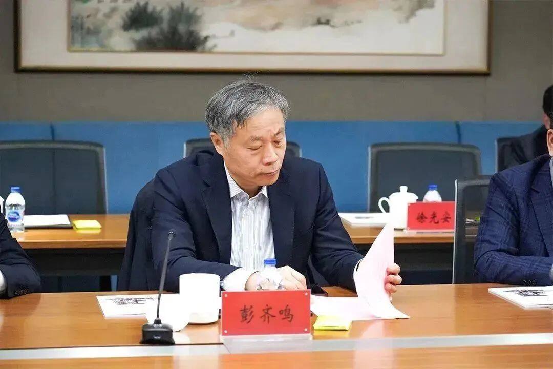 中国矿业联合会会长彭齐鸣