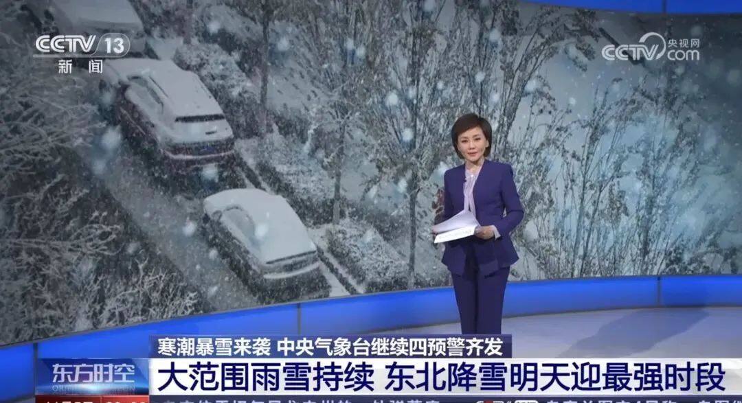 11月15日起，第三轮降雪席卷而来，黑龙江、吉林等地降雪强度大，部分地区新增积雪深度8至15厘米