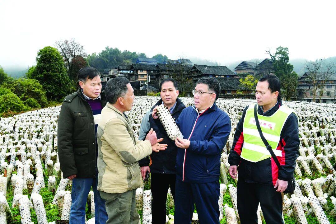 柳工为帮扶村建设茶叶加工厂及菌类种植生产线等产业项目