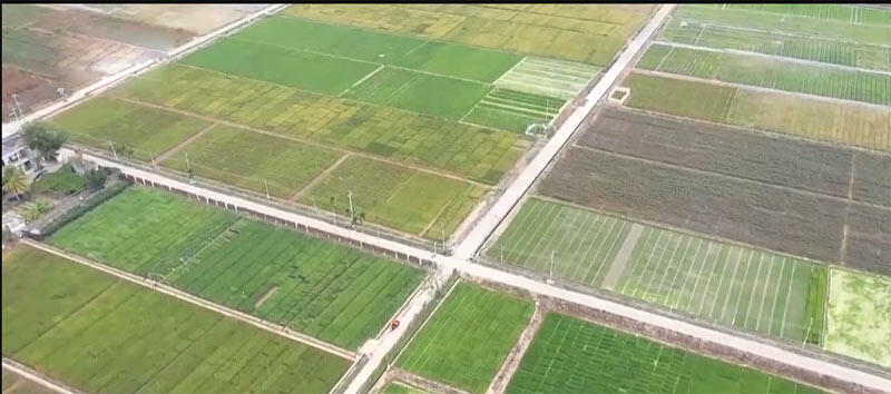 农业农村部：到2030年全面建成国家南繁硅谷