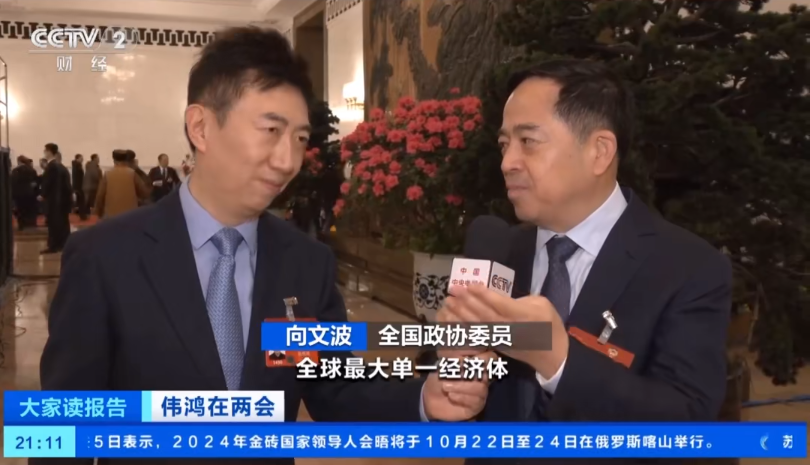 央视财经频道主持人陈伟鸿采访全国政协委员向文波