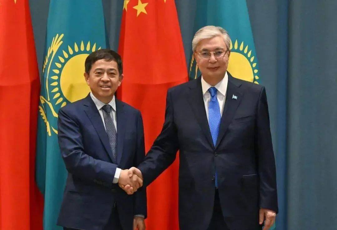 哈萨克斯坦总统托卡耶夫碰头三一总体轮值董事长向文波