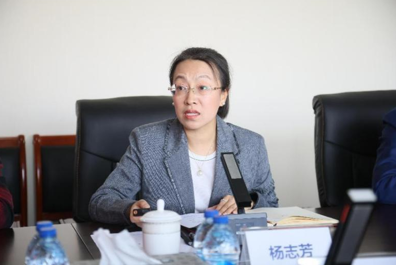 中国工程机械工业协会代理商工作委员会秘书长杨志芳
