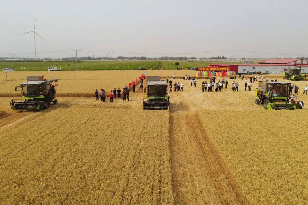 河北省2024年小麦机收减损大比武活动