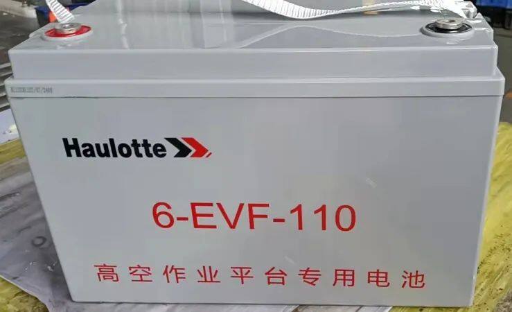 6-EVF-110