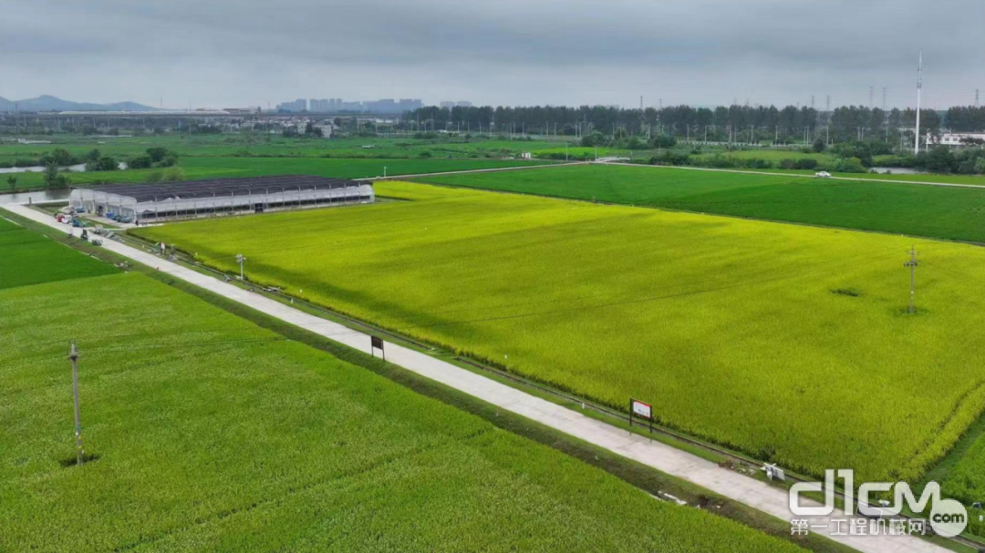 ▲中联重科峨桥智慧农场