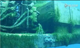 卡特彼勒海底作业挖掘机